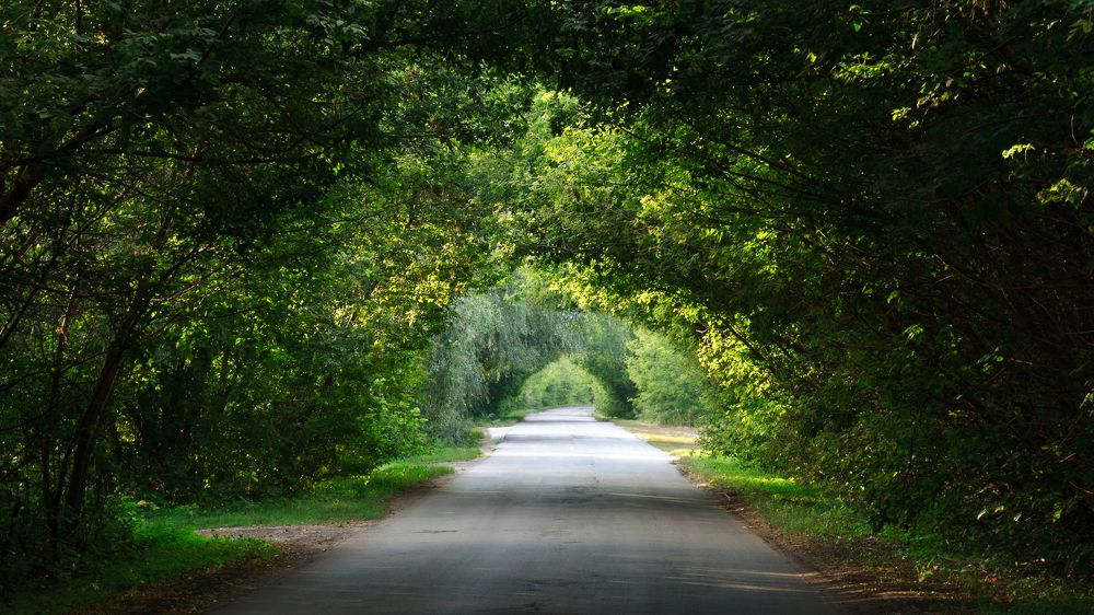 Photograph by Nikolay