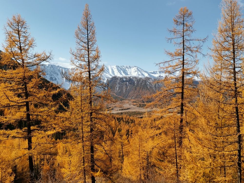 Photograph by Никита