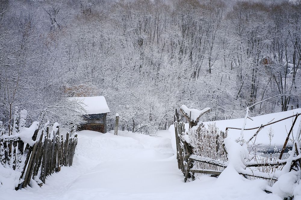 Photograph by Владислав Никишин