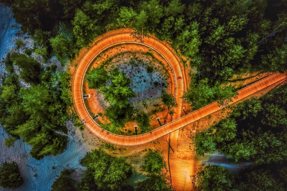 Прогулочная площадка «Моховые горы»