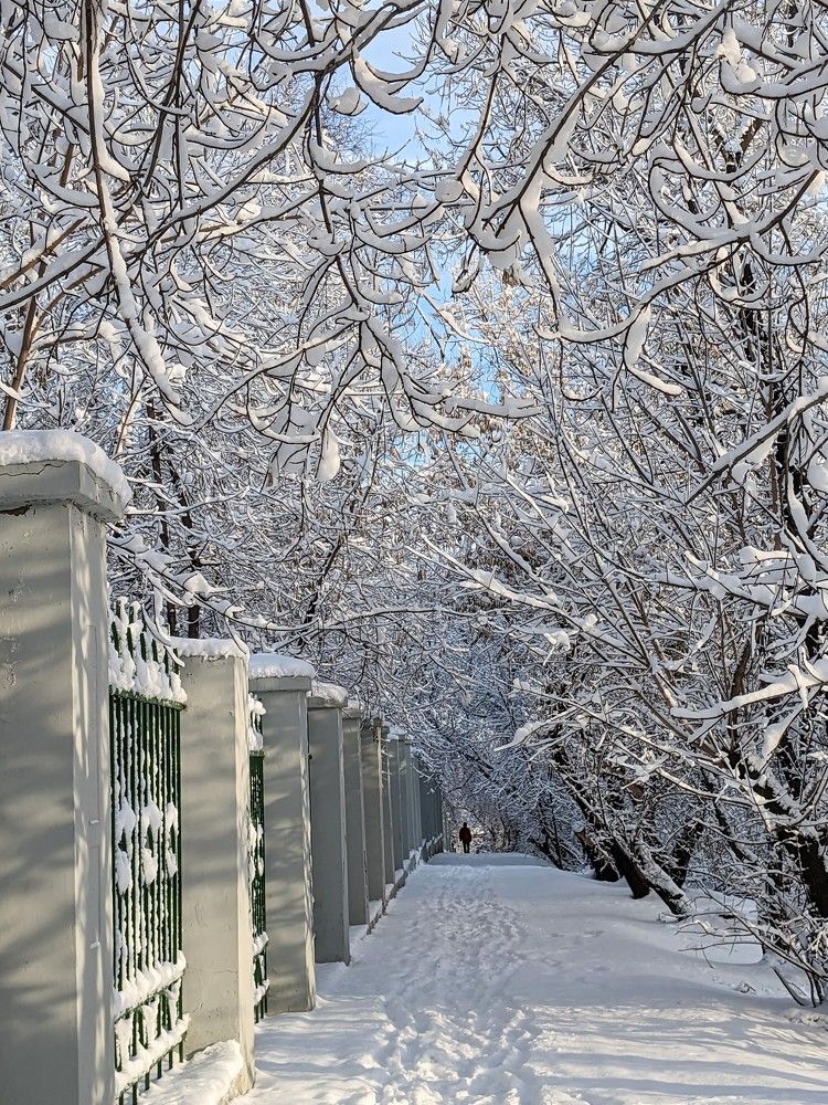 Фотография автора Наталья Фаттахова