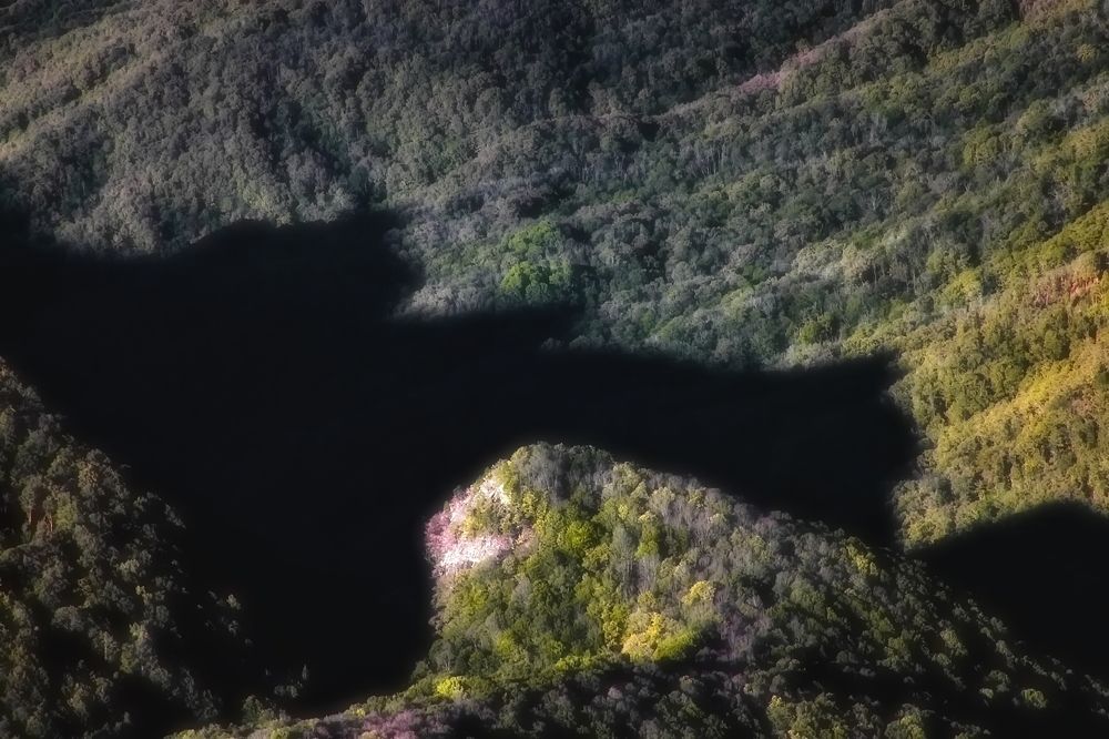 Photograph by Roman Popov