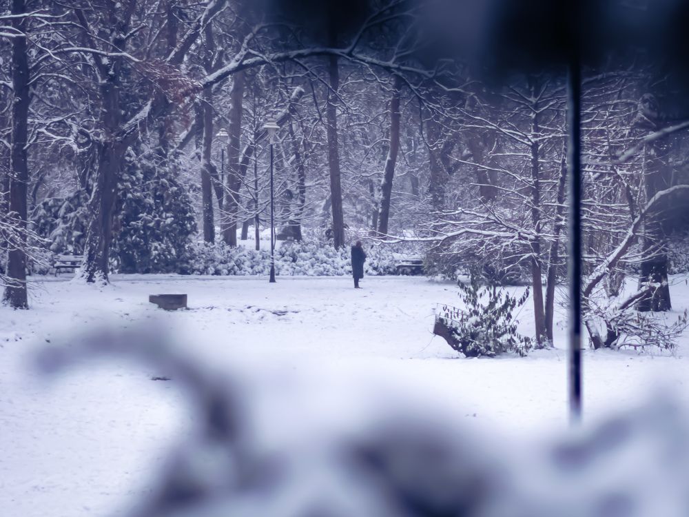 Photograph by Виктория Федосеенко