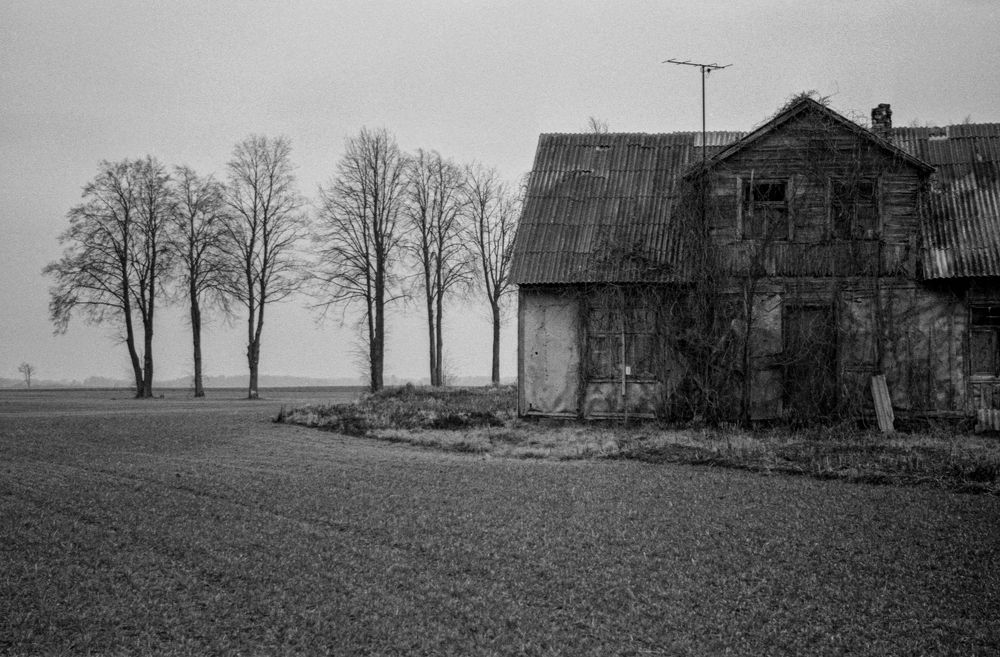 Photo #10128626