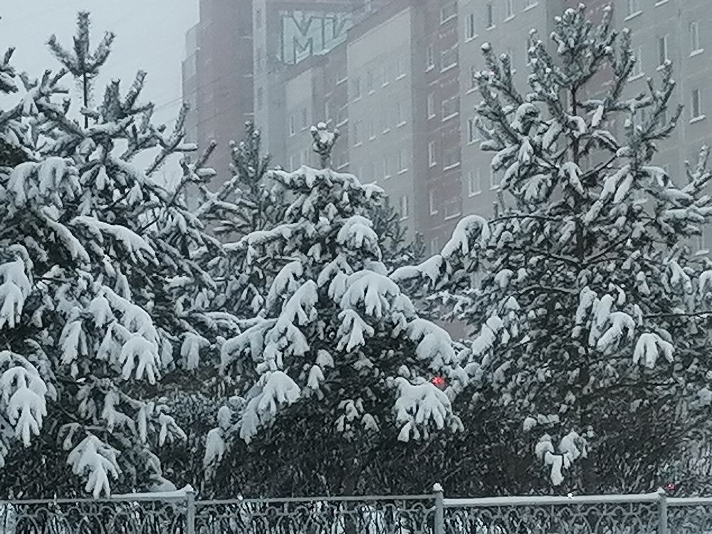 Photograph by Наталия