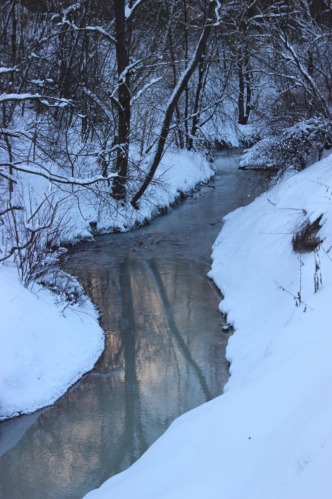 Зимний лес на закате     Winter forest