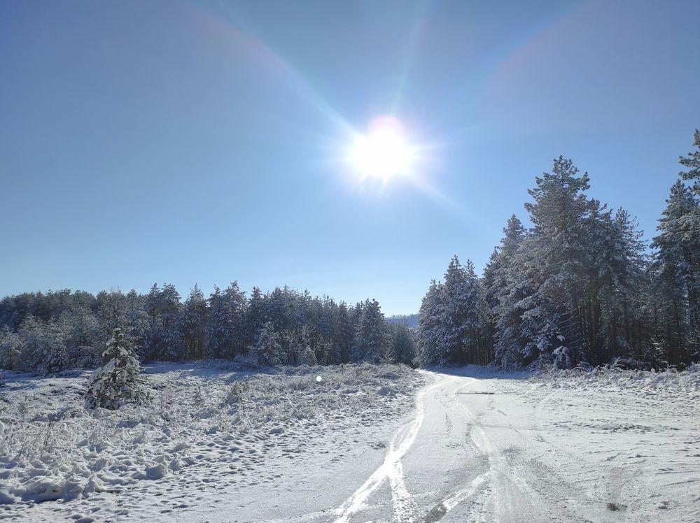 Photograph by Željka Miljić
