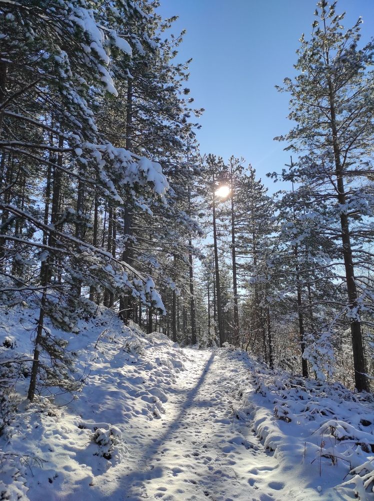 Photograph by Željka Miljić