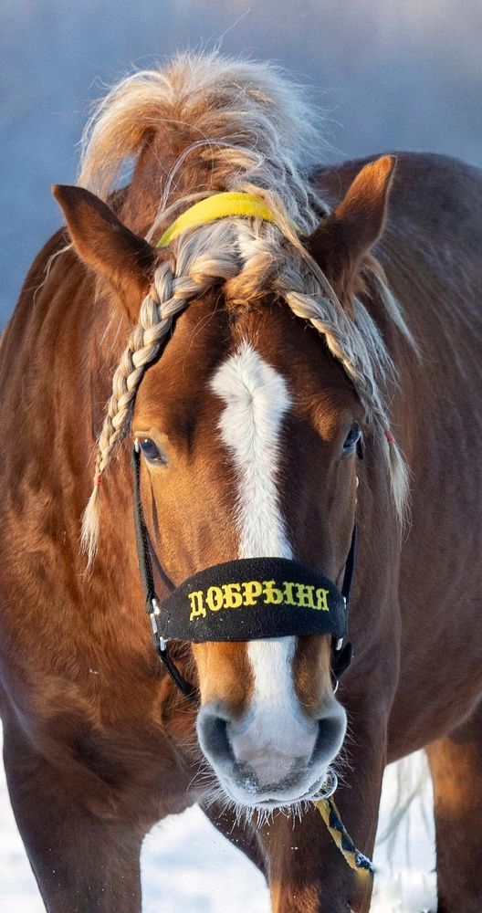 Photograph by Татьяна