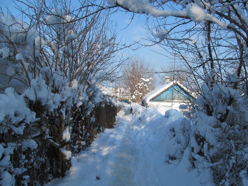 Photograph by Максим