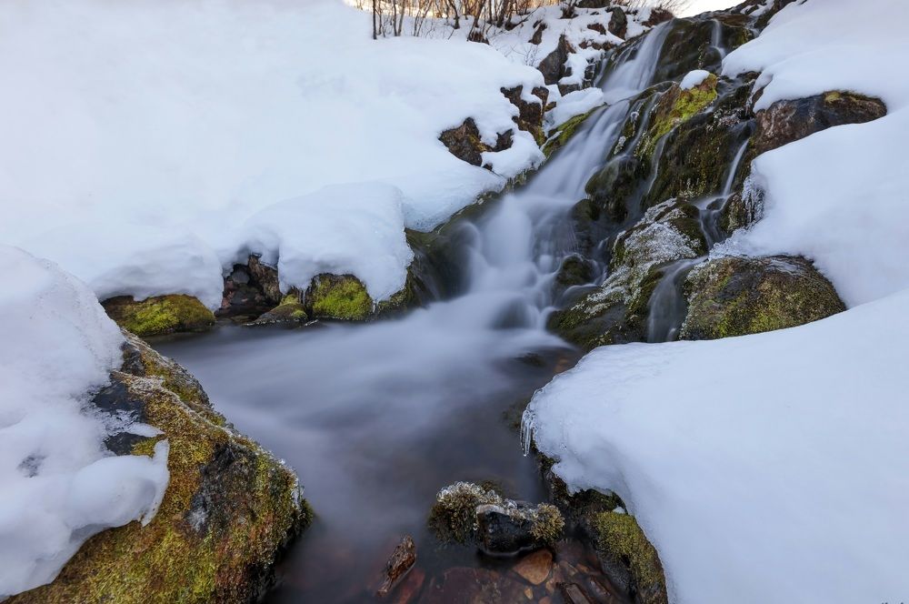 Photograph by _alex.doc_