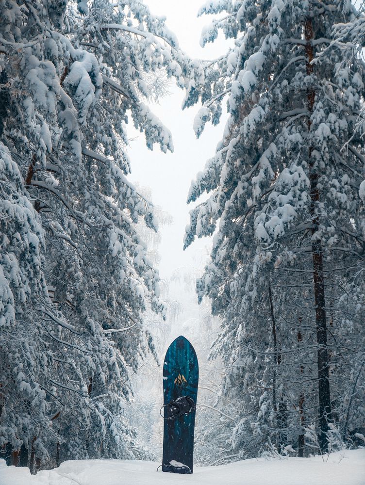 Freeride | Backcountry