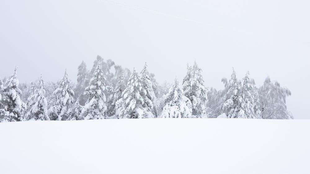 Photograph by Анжелика Сороколетова