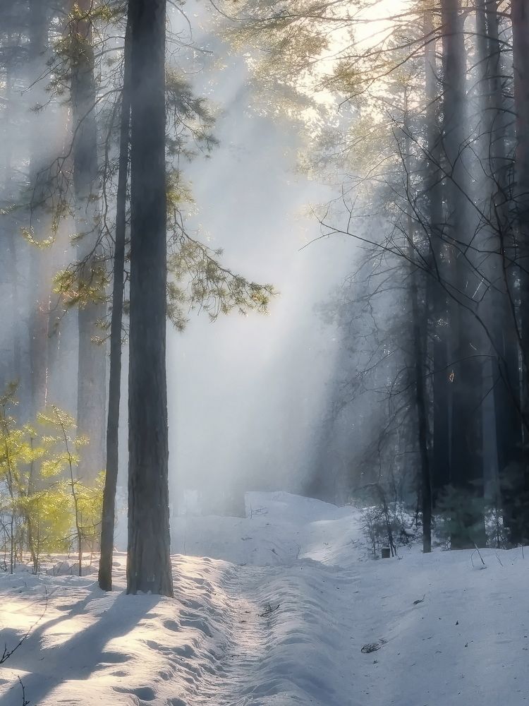 Photograph by Кузнецов Дмитрий