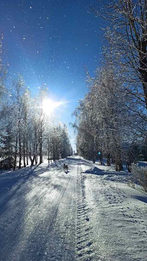 Photograph by Екатерина Сковорода