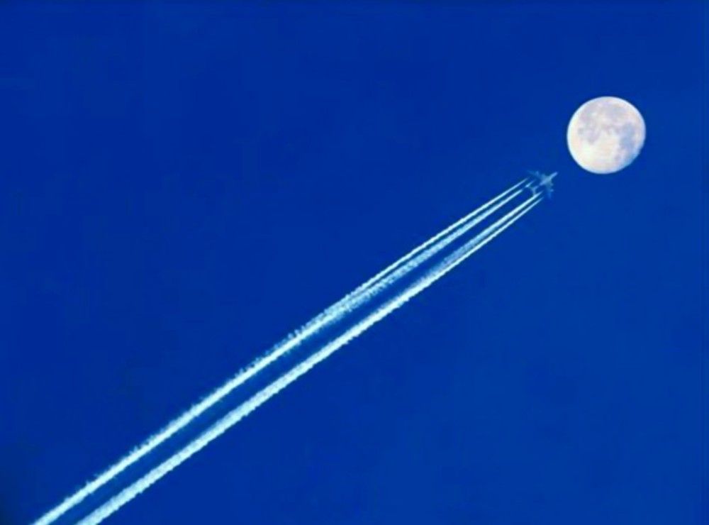 One way to the Moon ?