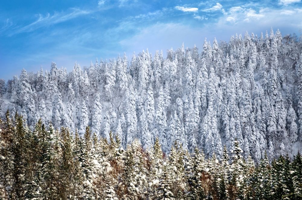 Photograph by Вероника Романенко