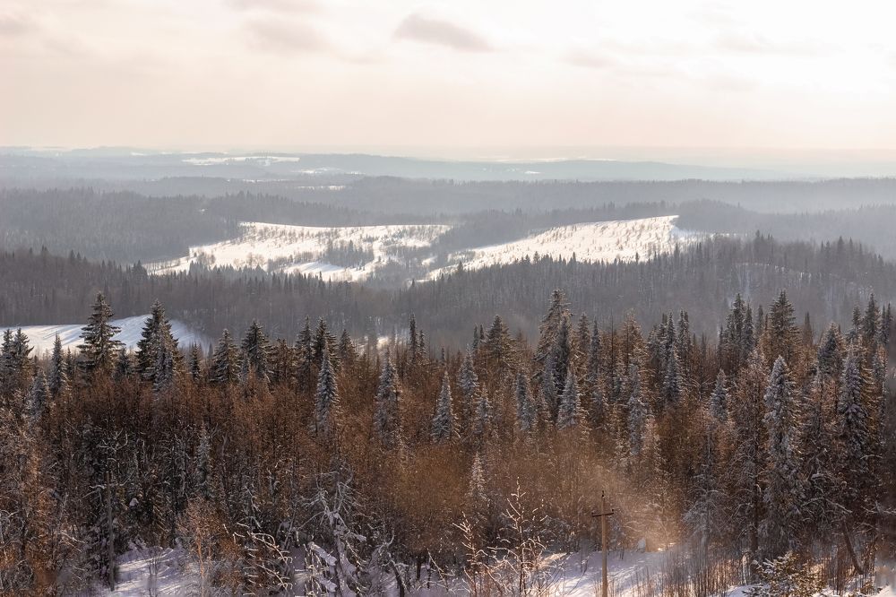 Photograph by Людмила Новосёлова