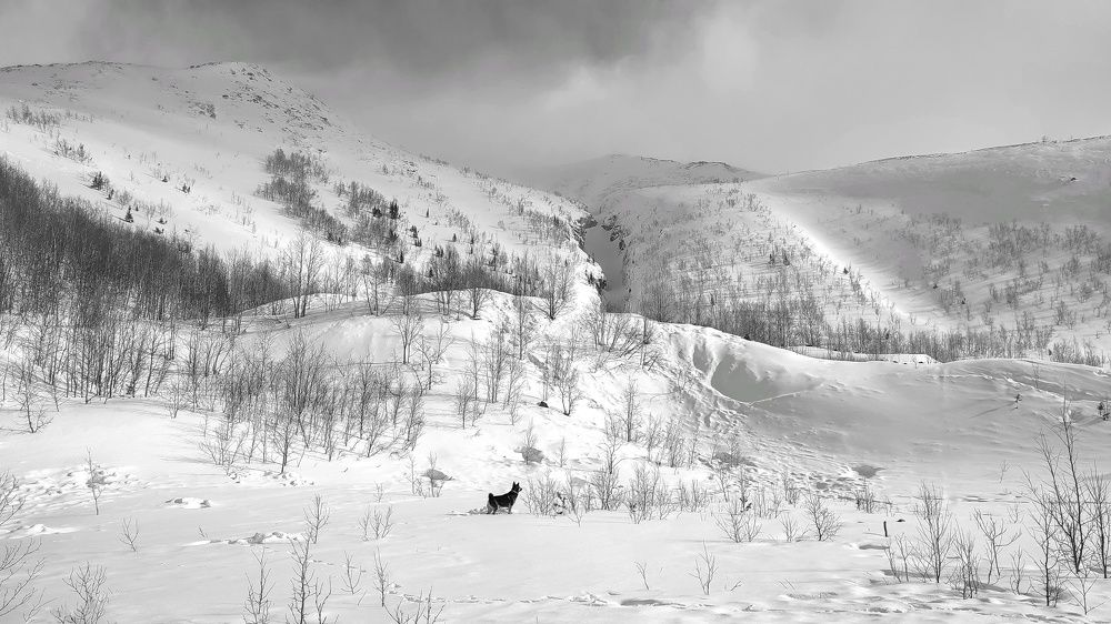 Фотография автора Ольга Сорокина