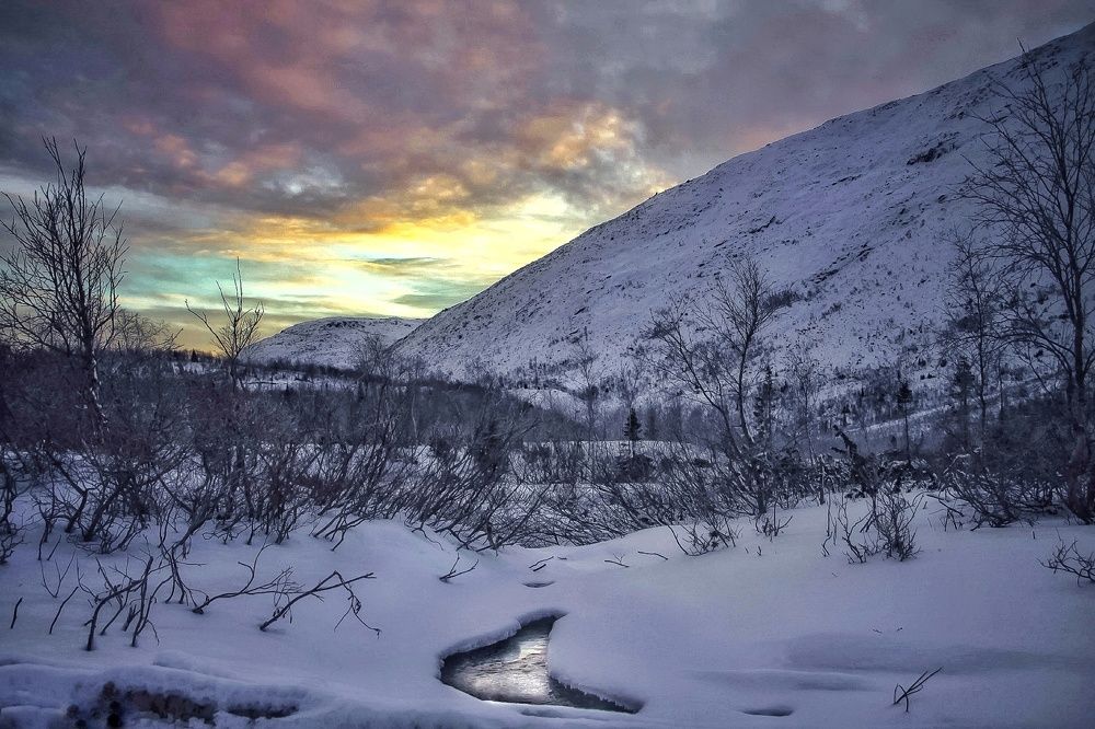 Фотография автора Ольга Сорокина