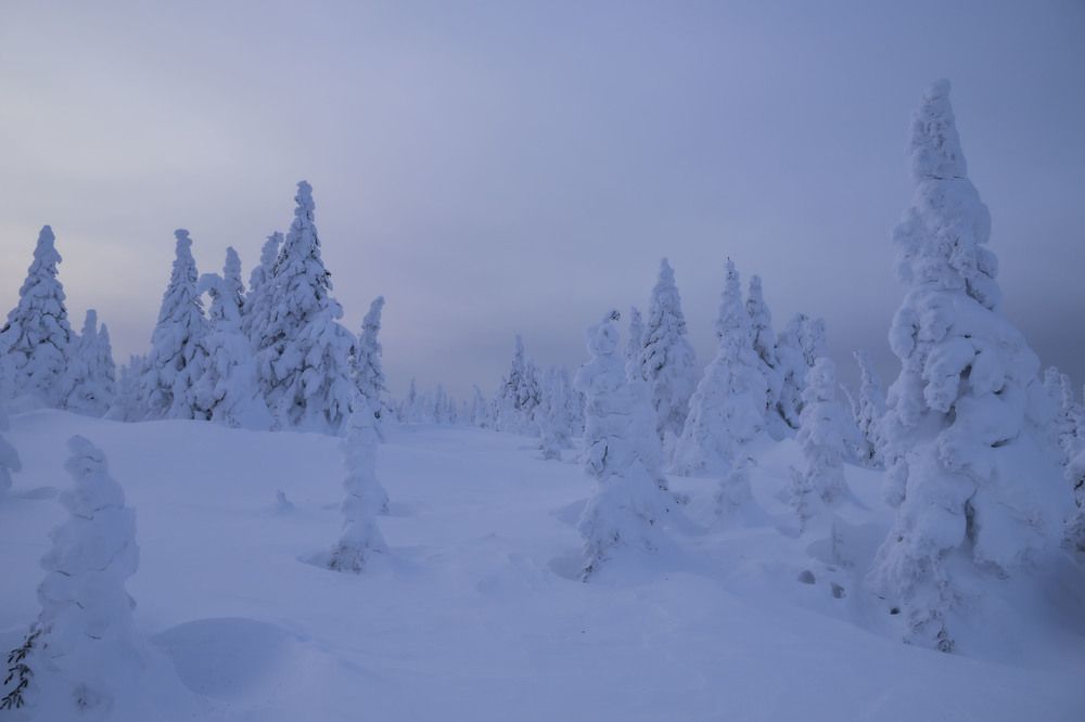 Photograph by Елена Перминова