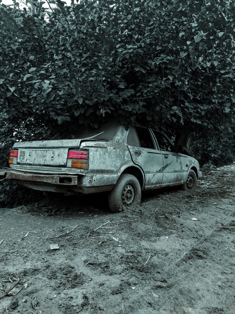 Photo #10129158