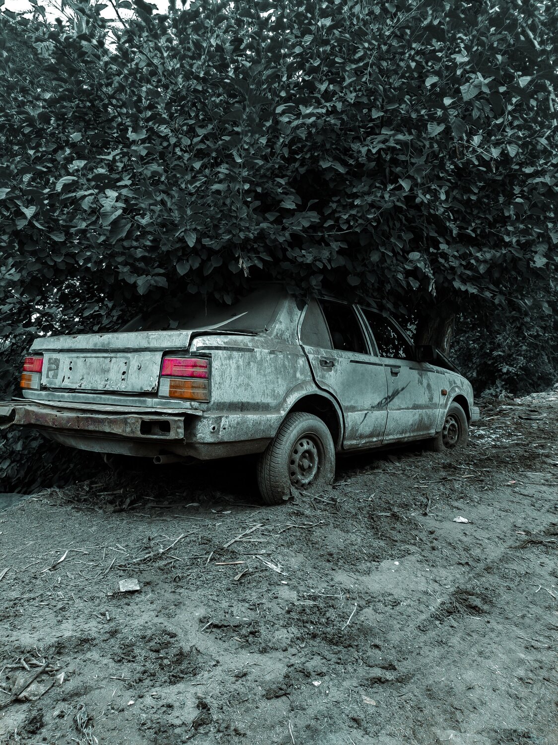Photo #10129158