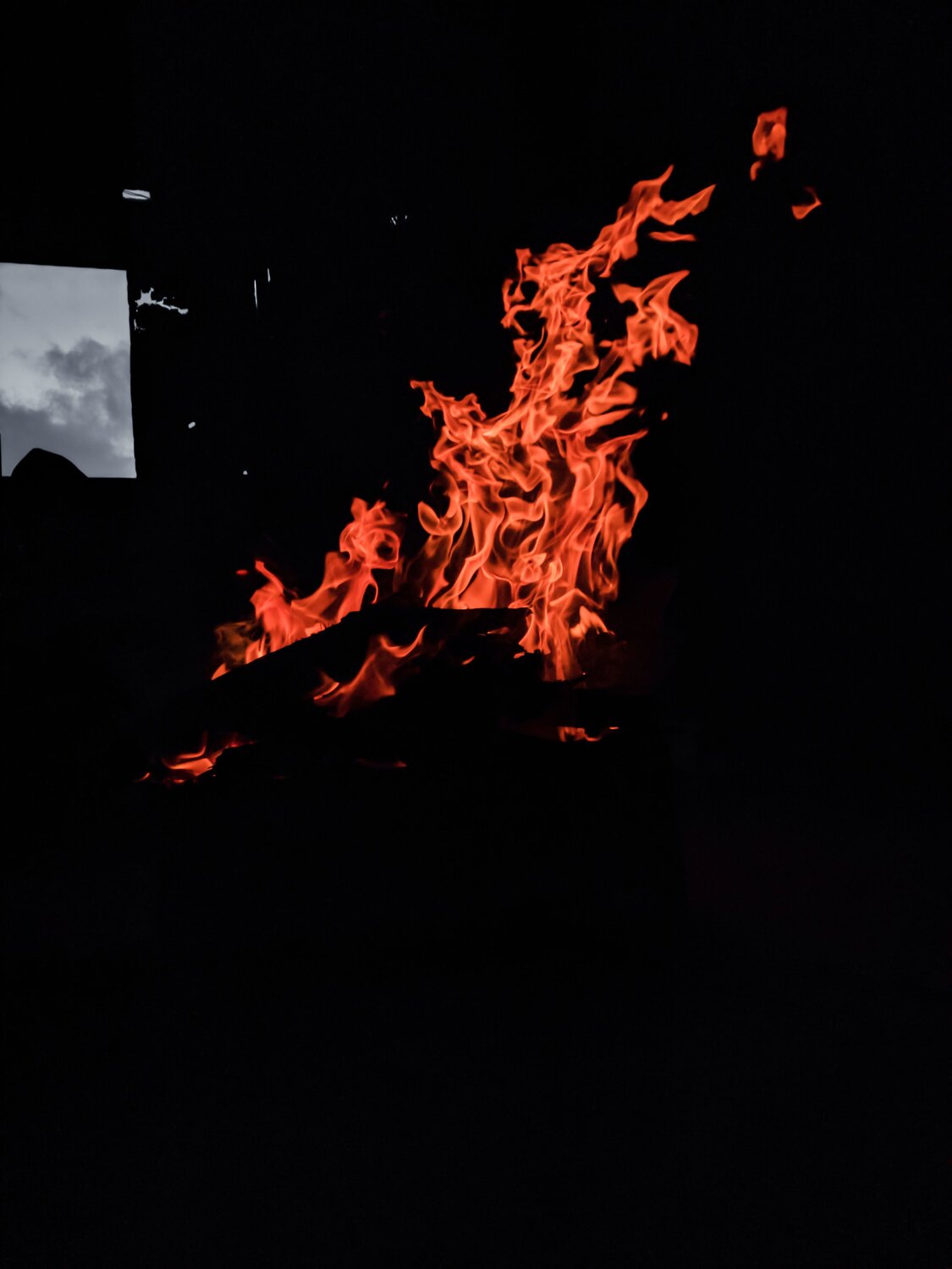 Photo #10129199