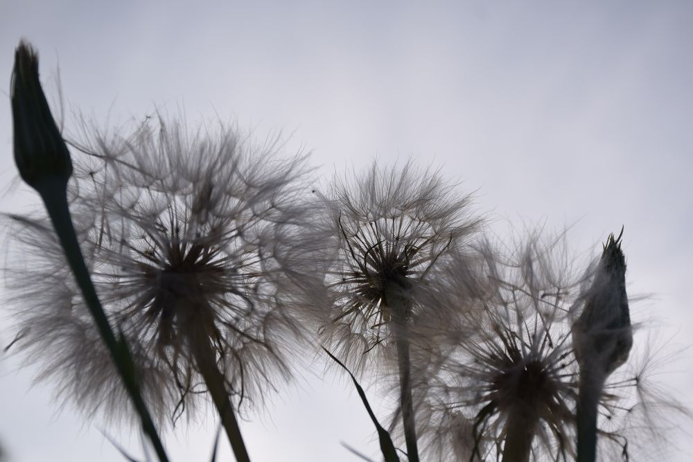 Photograph by  Татьяна Дорожко