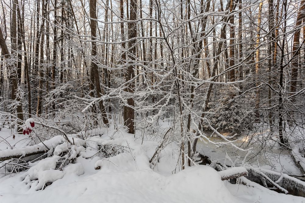 В пойсках снегурочки