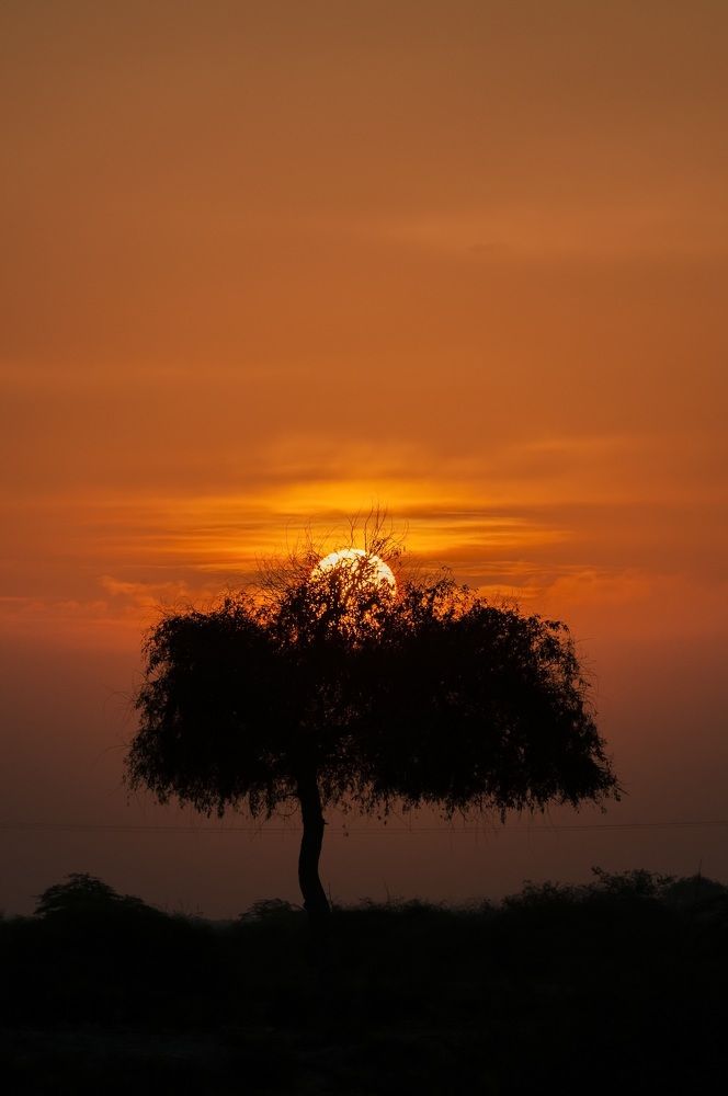 Photograph by Mahmoud Reza Moradi Mehrabadi Mahmoud Reza