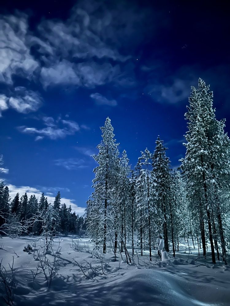 Photograph by Жанна Ляхова