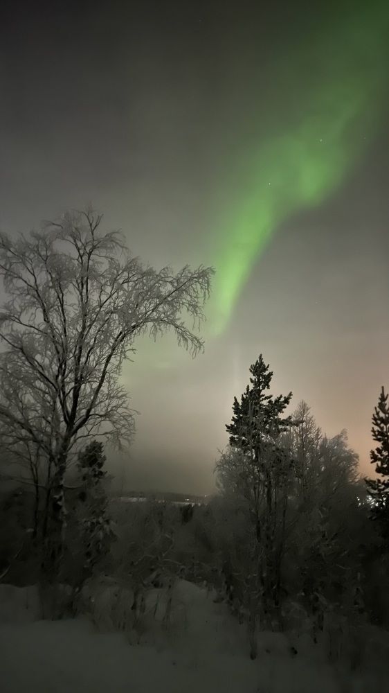 Photograph by Жанна Ляхова