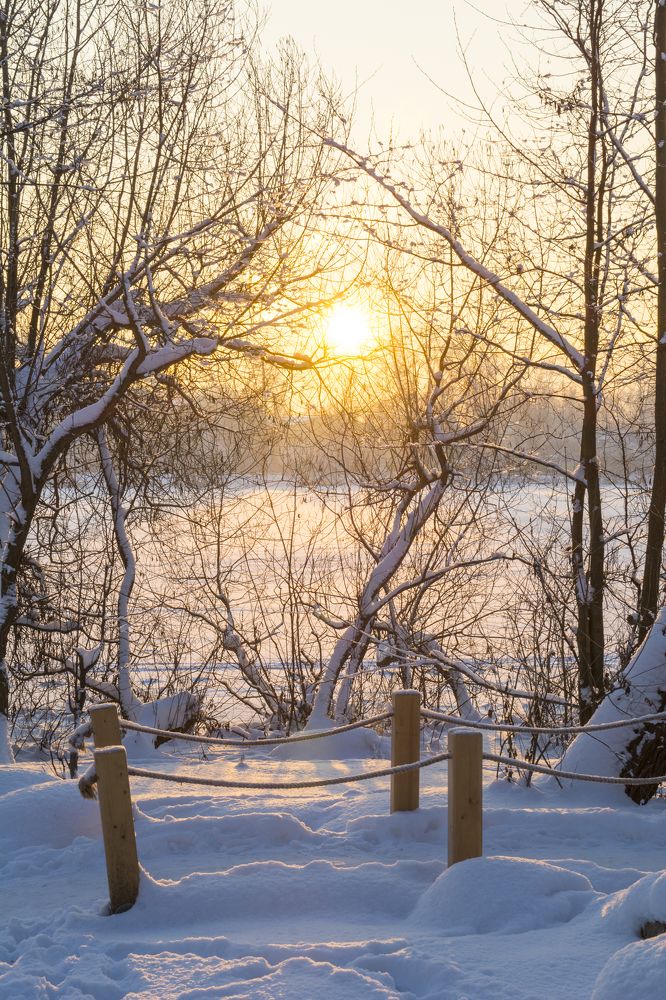 Фотография автора Irina Panina