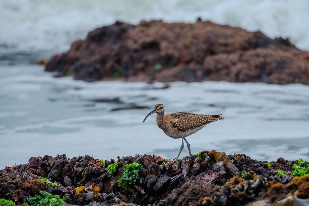 Photograph by Roman Halin