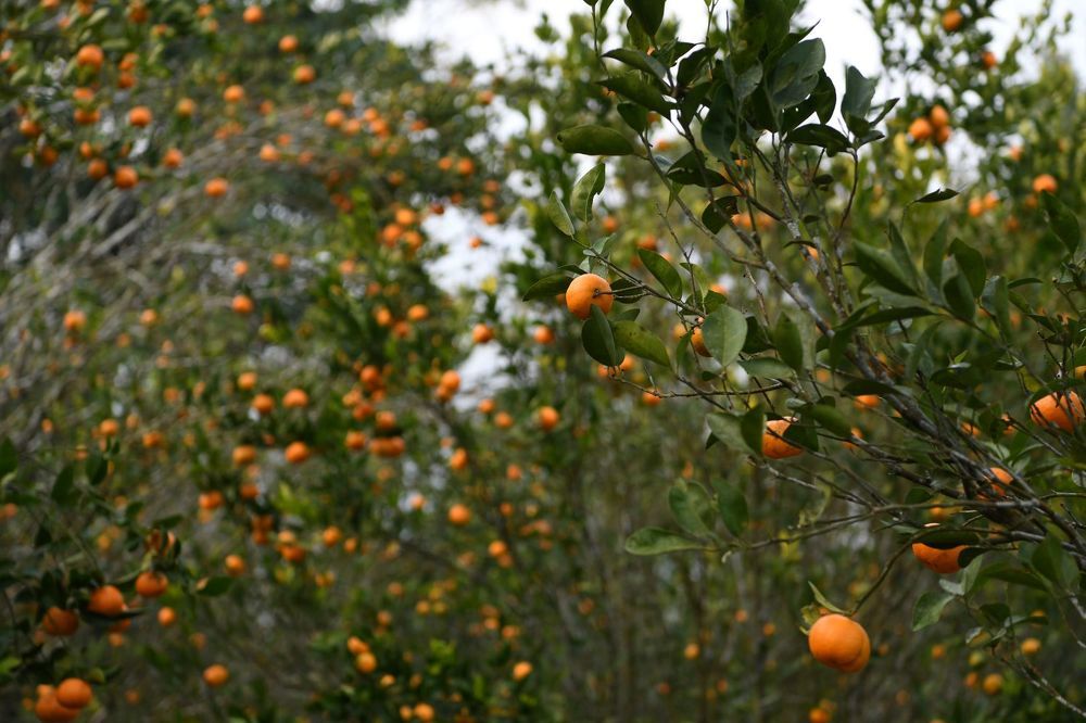 Photograph by Kangona Sinha