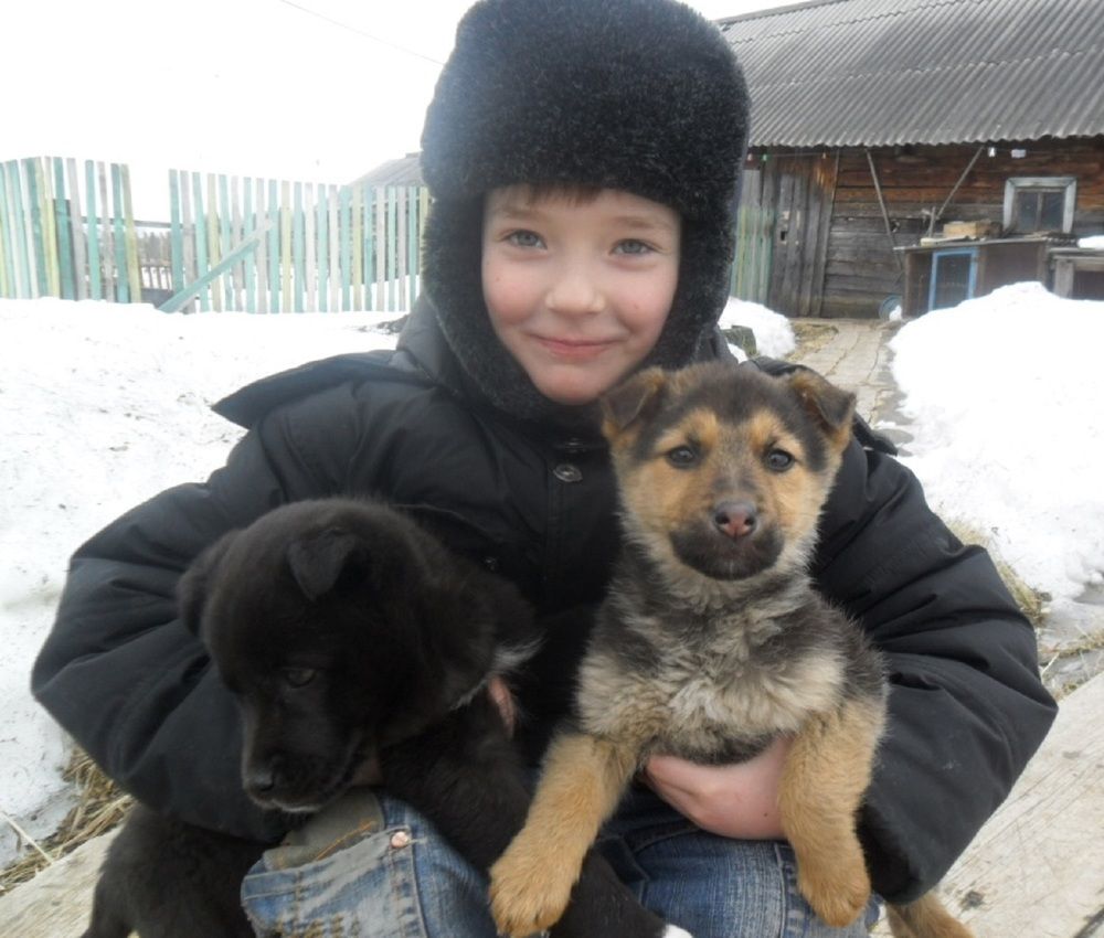 Photograph by Оксана Подъельская