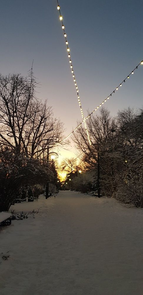 Фотография автора Ольга Мусина