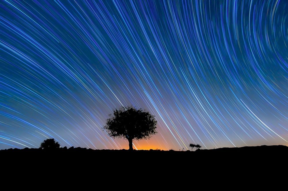 Photograph by Mahmoud Reza Moradi Mehrabadi Mahmoud Reza