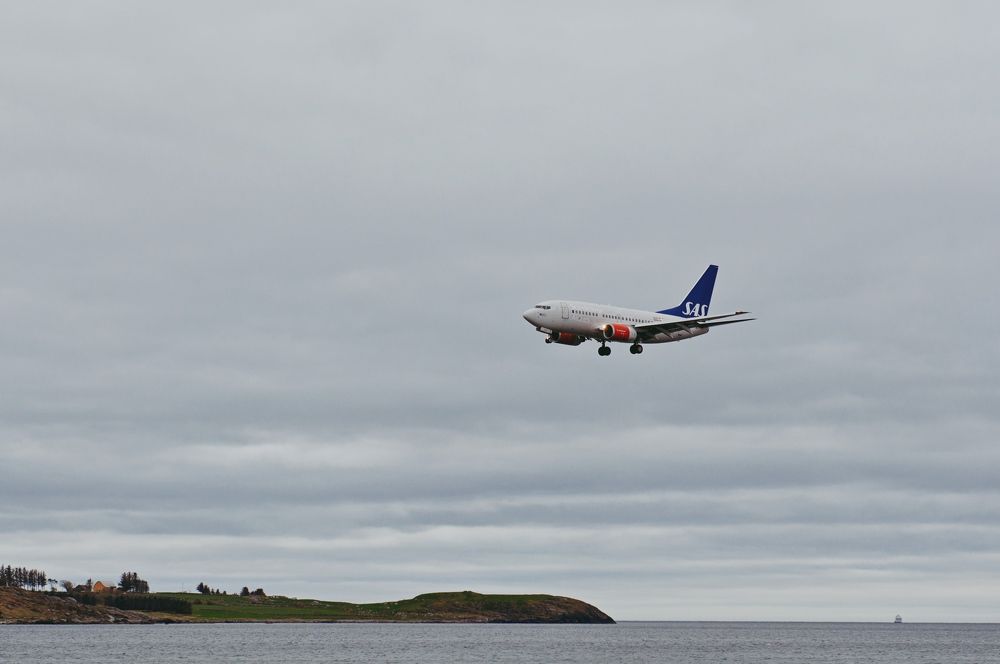 Фотография автора Irina Panina