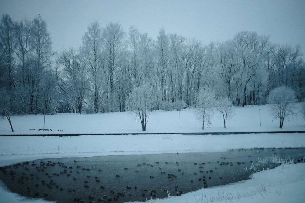 Photograph by Гребенева Мария