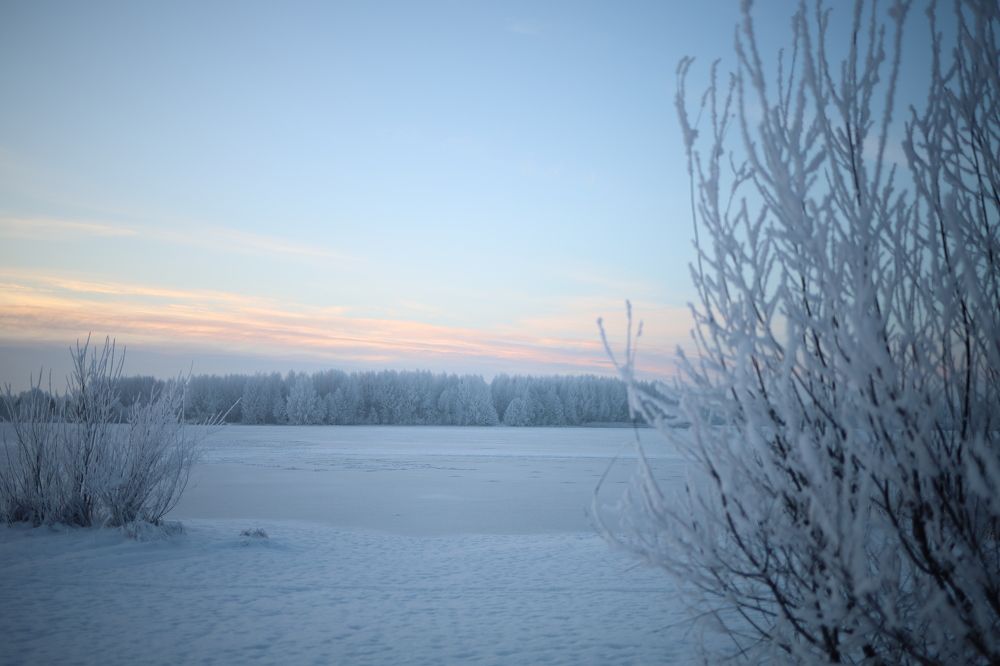 Photograph by Гребенева Мария