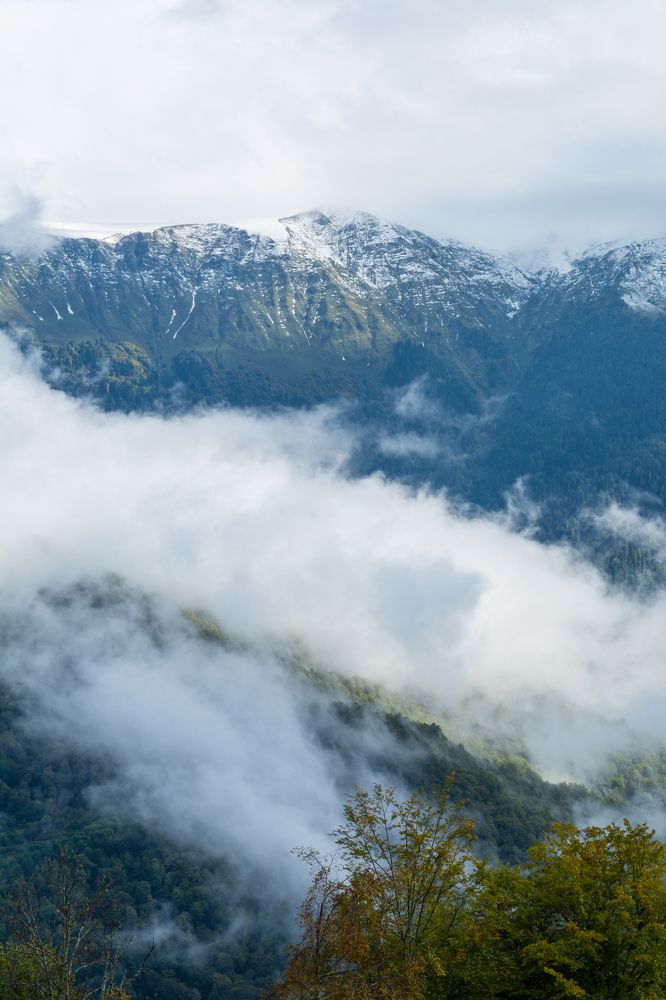 Фотография автора Irina Panina