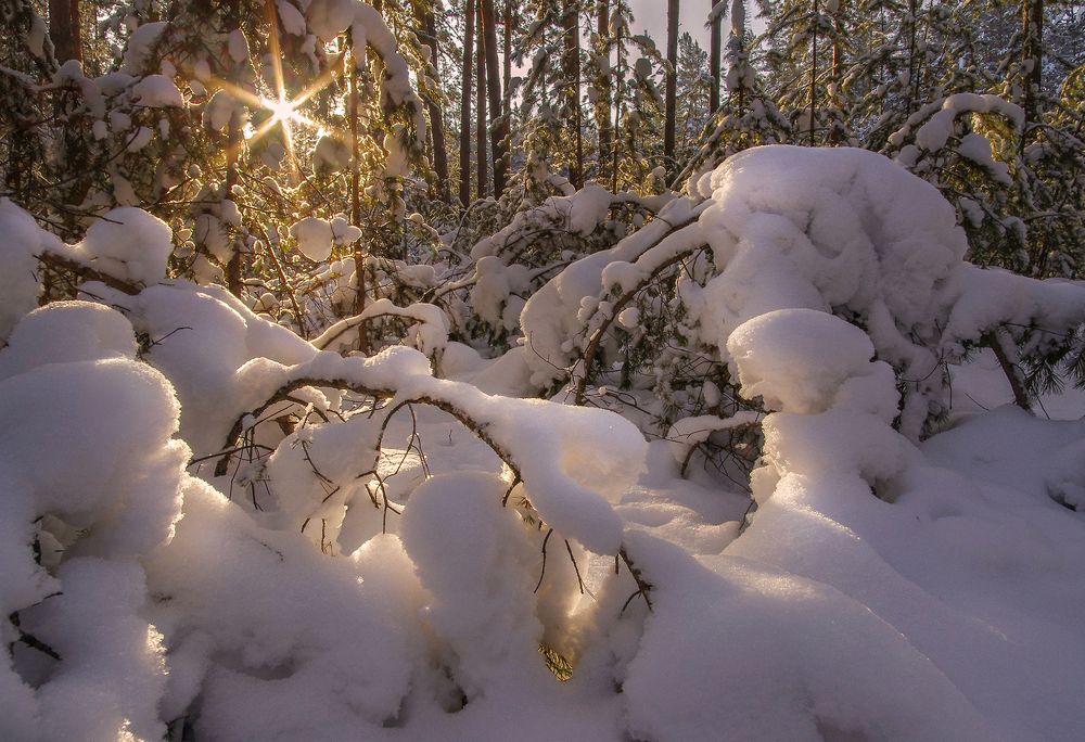 Photograph by Чичкин Валерий