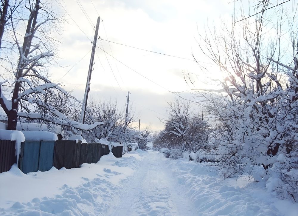 Photograph by Анна Напримерова