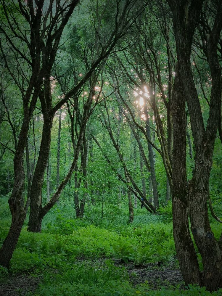 Photograph by Максим Иванов