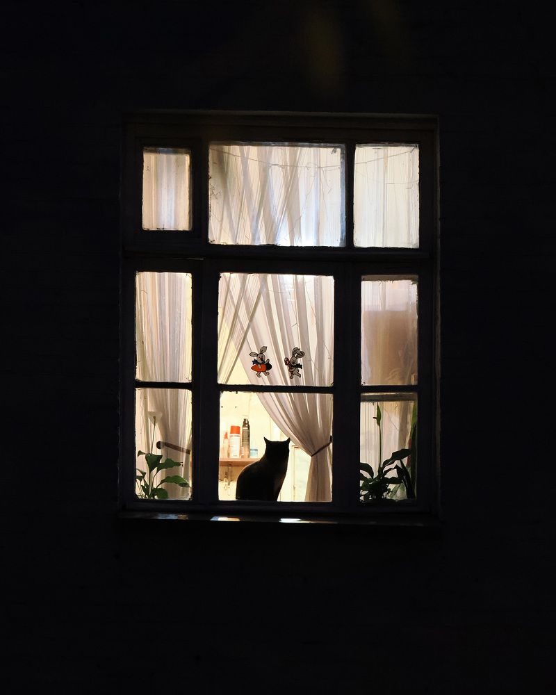 Фотография автора Федор Горбатов