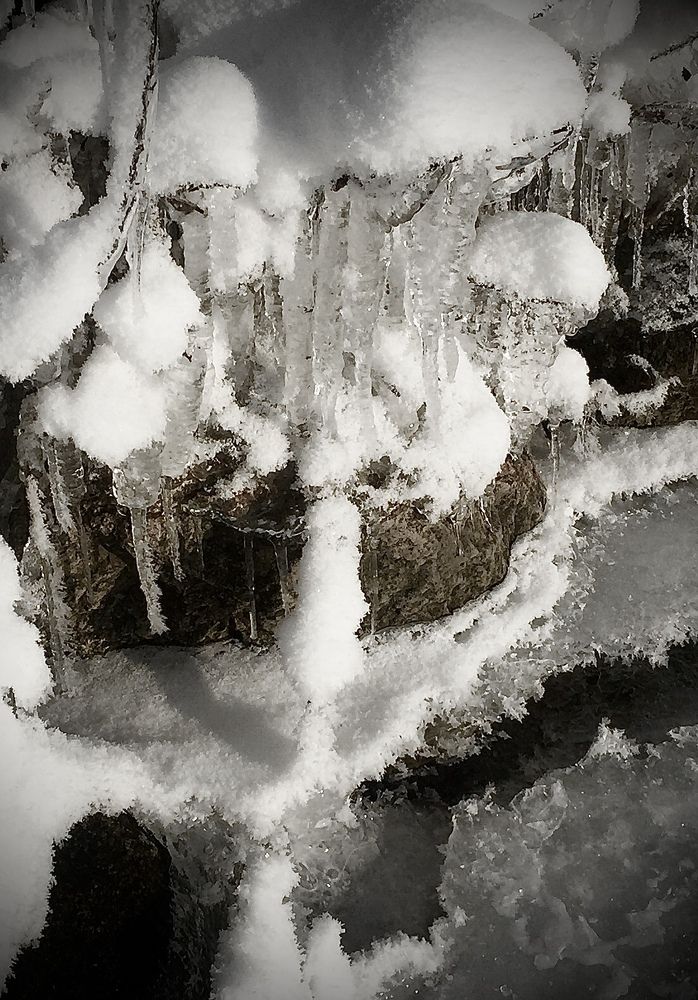 Фотография автора Livija Salauskiene