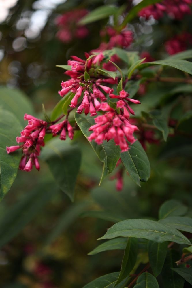 You are my favourite secret...