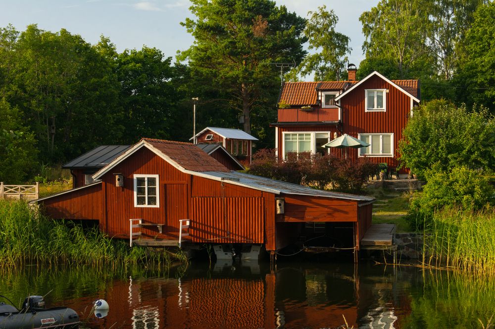 Фотография автора Irina Panina